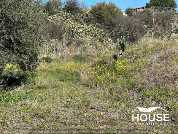 terreno agricolo in vendita a Paternò