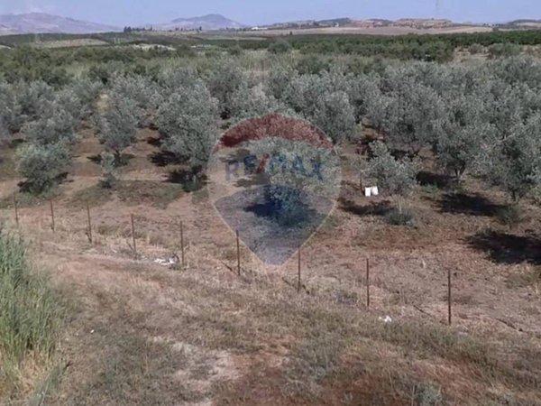 terreno agricolo in vendita a Paternò