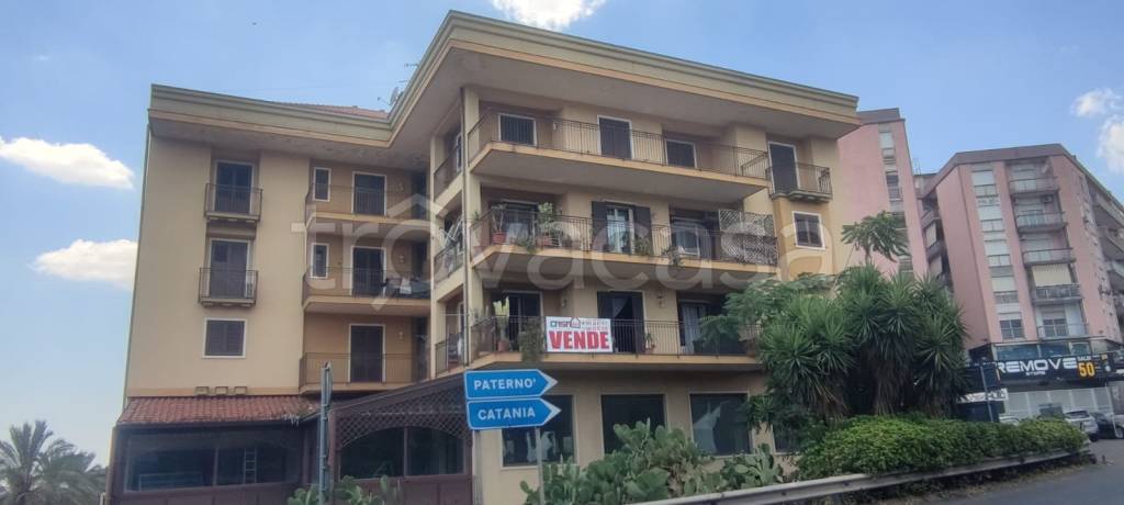 appartamento in vendita a Paternò