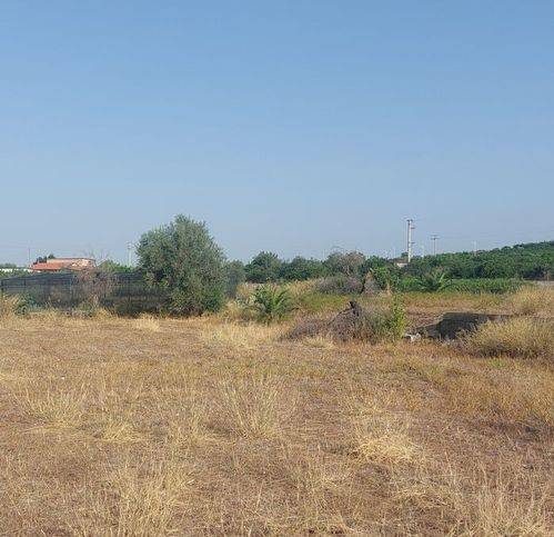 terreno agricolo in vendita a Paternò