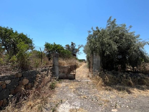 terreno agricolo in vendita a Paternò