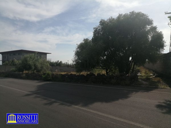 terreno agricolo in vendita a Paternò in zona Sferro