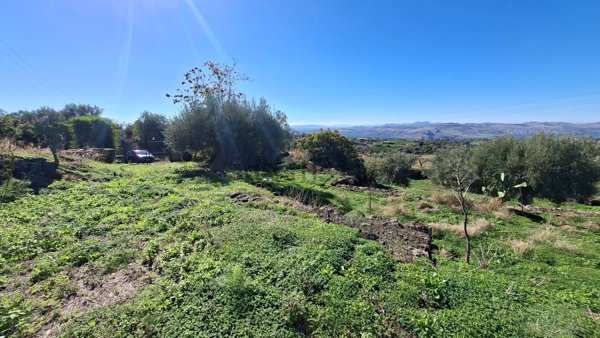 terreno agricolo in vendita a Paternò