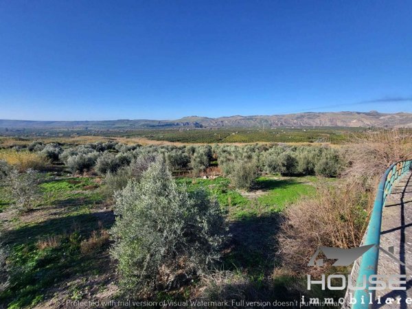 azienda agricola in vendita a Paternò
