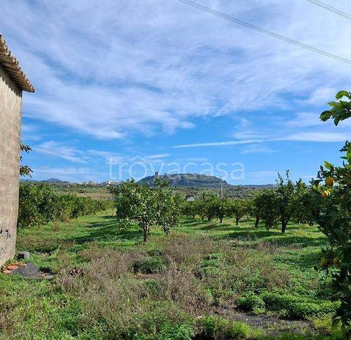 terreno agricolo in vendita a Paternò