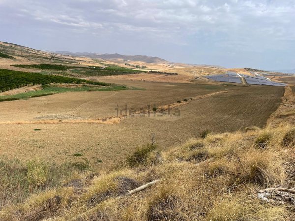 terreno agricolo in vendita a Paternò in zona Sferro
