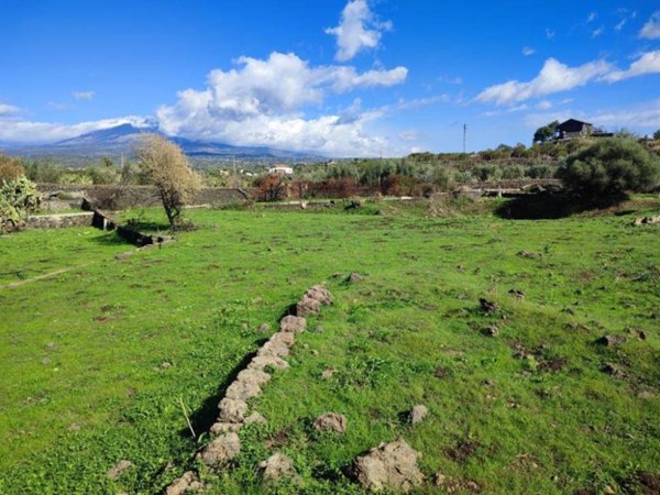 terreno agricolo in vendita a Paternò