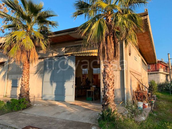 negozio in vendita a Paternò