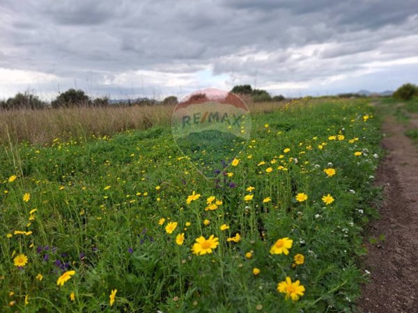 terreno agricolo in vendita a Paternò
