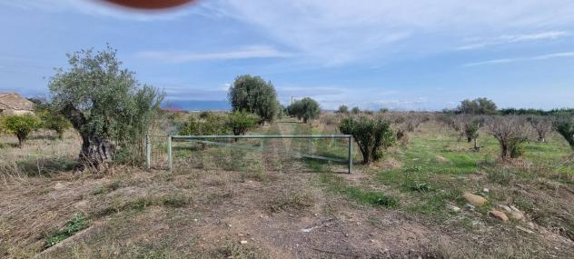 terreno agricolo in vendita a Paternò