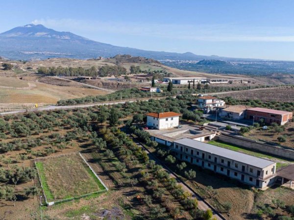 azienda agricola in vendita a Paternò