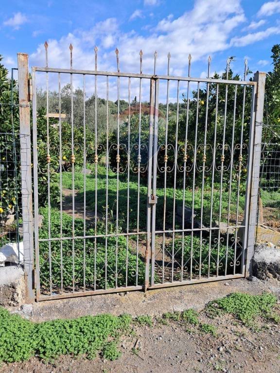 terreno agricolo in vendita a Paternò