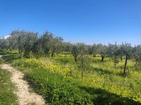 casa indipendente in vendita a Paternò