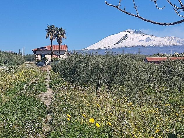 casa indipendente in vendita a Paternò
