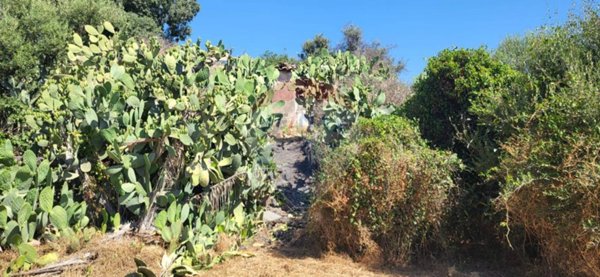 terreno agricolo in vendita a Paternò in zona Centro Storico