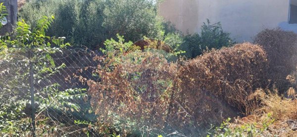 casa indipendente in vendita a Paternò