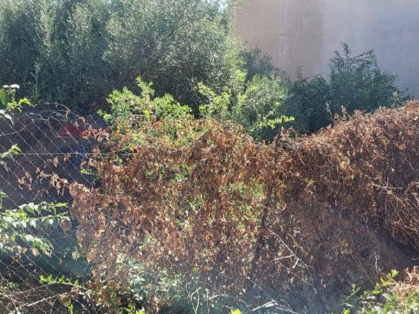 casa indipendente in vendita a Paternò