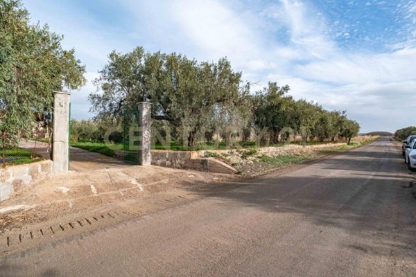 terreno agricolo in vendita a Paternò in zona Centro Storico