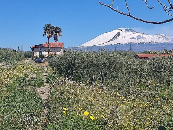 casa indipendente in vendita a Paternò