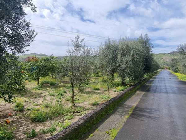 terreno agricolo in vendita a Paternò