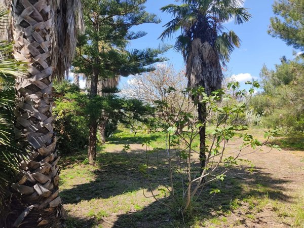 casa indipendente in vendita a Paternò