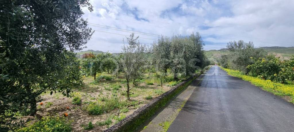 terreno agricolo in vendita a Paternò