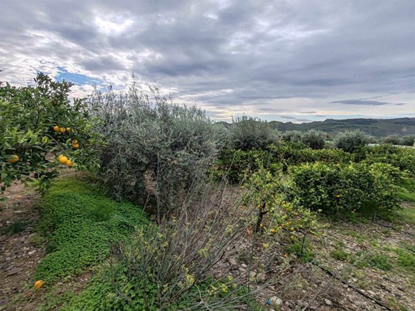 terreno agricolo in vendita a Paternò in zona Centro Storico