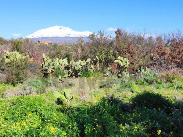 terreno agricolo in vendita a Paternò in zona Centro Storico