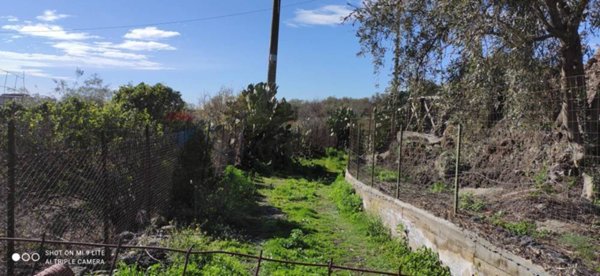 terreno agricolo in vendita a Paternò in zona Centro Storico
