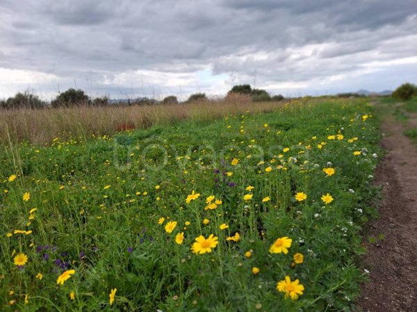 casale in vendita a Paternò