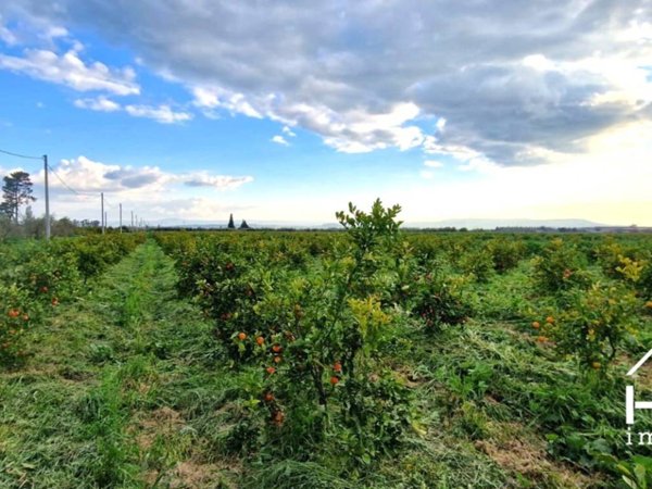 terreno agricolo in vendita a Paternò