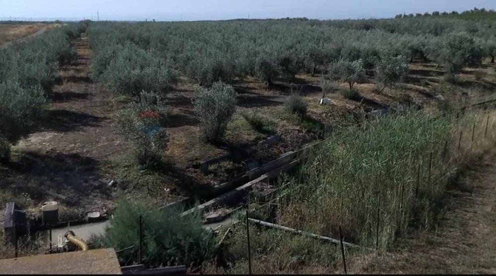 terreno agricolo in vendita a Paternò