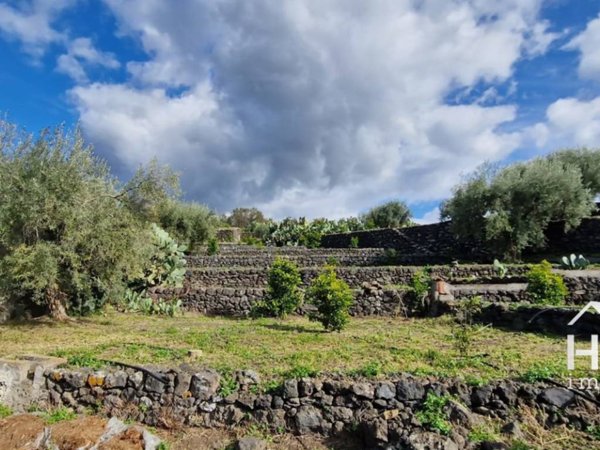 terreno agricolo in vendita a Paternò