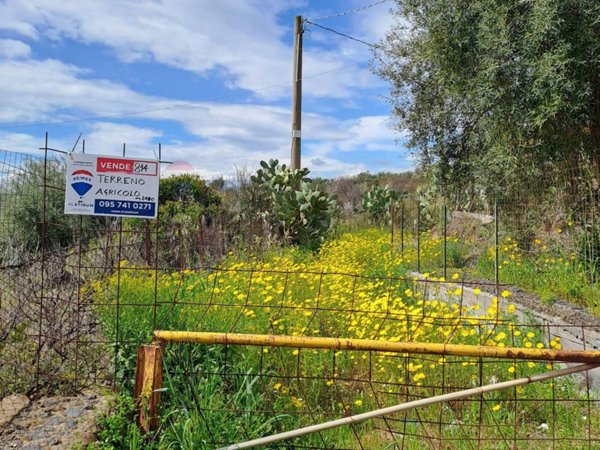 terreno agricolo in vendita a Paternò