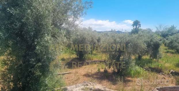 terreno agricolo in vendita a Paternò
