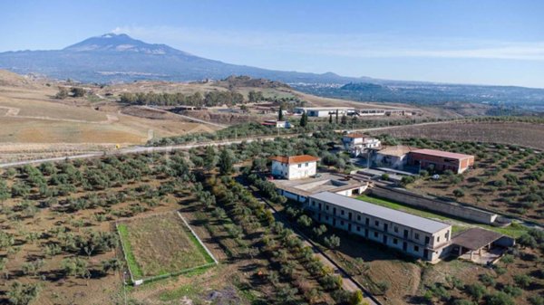 azienda agricola in vendita a Paternò