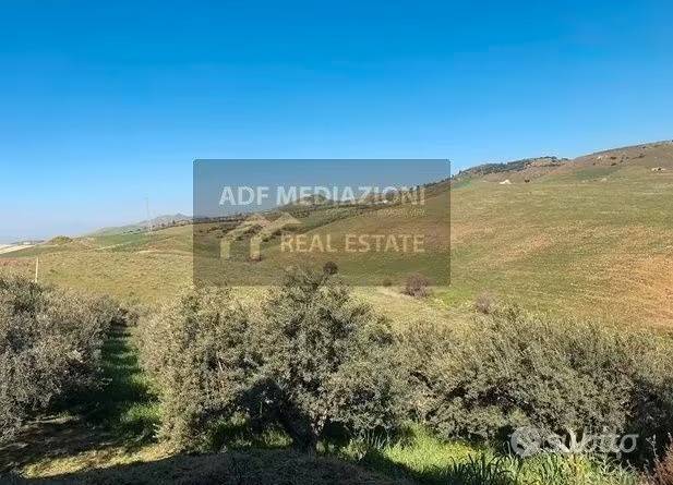terreno agricolo in vendita a Paternò