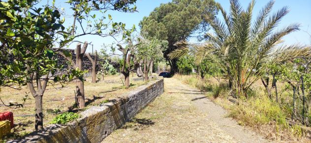 terreno agricolo in vendita a Paternò
