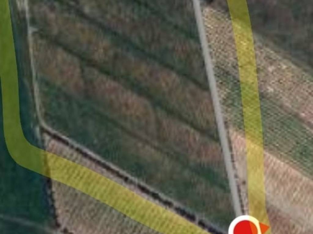 terreno agricolo in vendita a Paternò