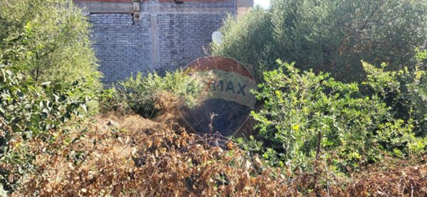 casa indipendente in vendita a Paternò