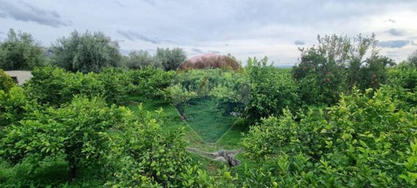 terreno agricolo in vendita a Paternò