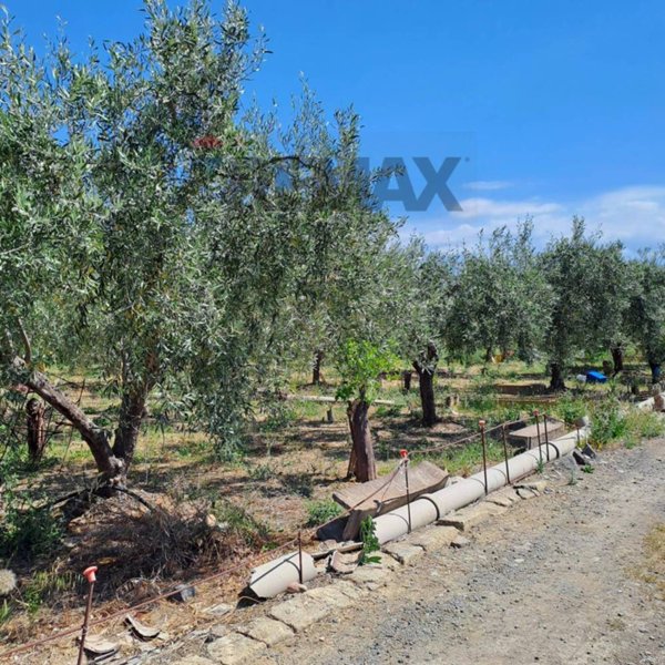 terreno agricolo in vendita a Paternò in zona Sferro