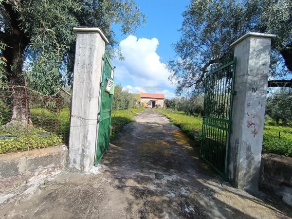 terreno agricolo in vendita a Paternò