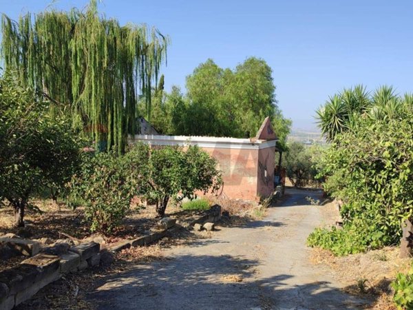 terreno agricolo in vendita a Paternò