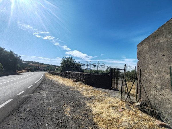 esavano in vendita a Paternò