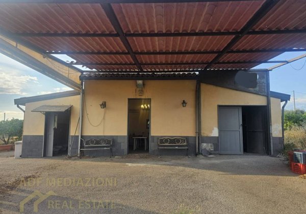 terreno agricolo in vendita a Paternò