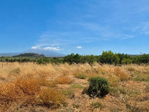 terreno agricolo in vendita a Paternò
