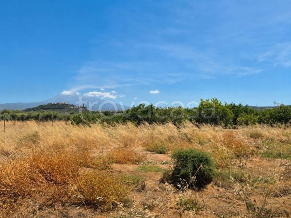 terreno agricolo in vendita a Paternò