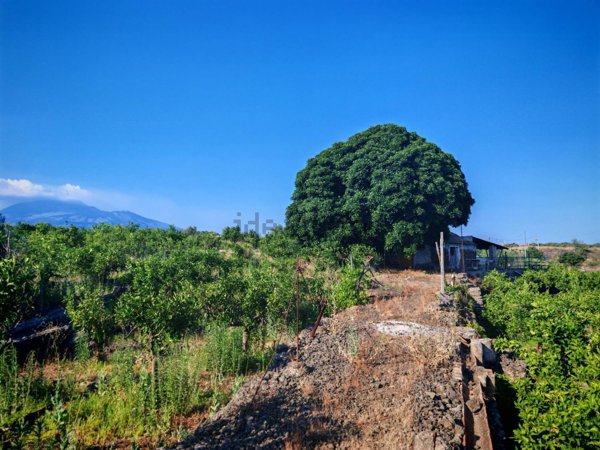 terreno agricolo in vendita a Paternò in zona Centro Storico