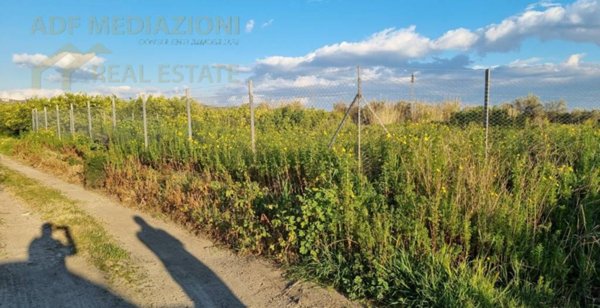 terreno agricolo in vendita a Paternò